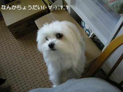 DSCN8330.JPG
