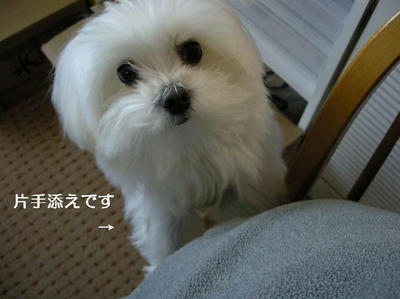 DSCN8332.JPG