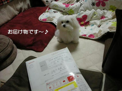 DSCN8351.JPG