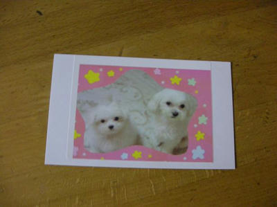 DSCN8353.JPG