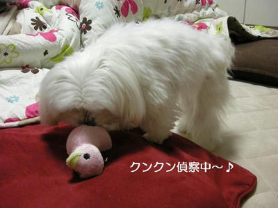 DSCN8358.JPG