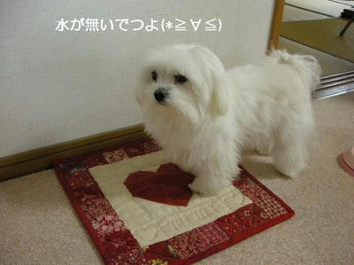 DSCN8370.JPG