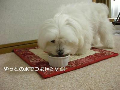 DSCN8372.JPG