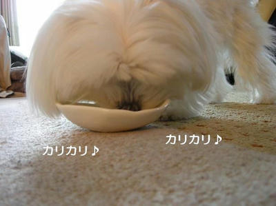DSCN8376.JPG