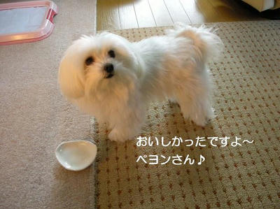 DSCN8378.JPG