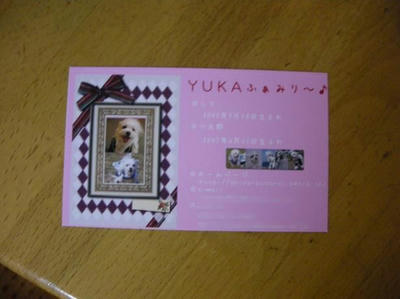 DSCN8385.JPG