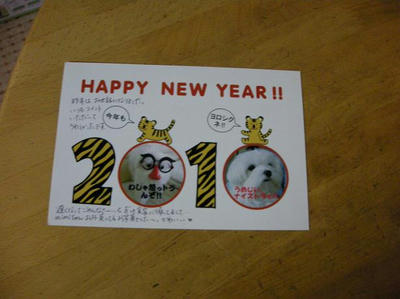DSCN8386.JPG
