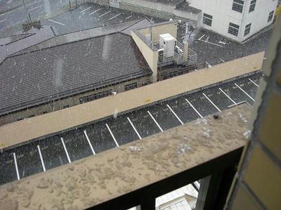 DSCN8388.JPG