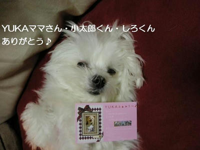 DSCN8395.JPG