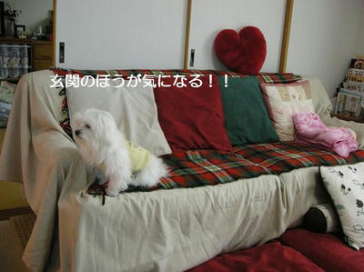 DSCN8400.JPG