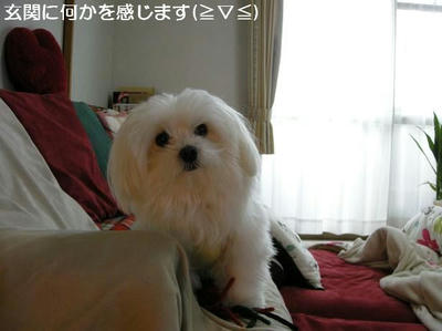 DSCN8413.JPG