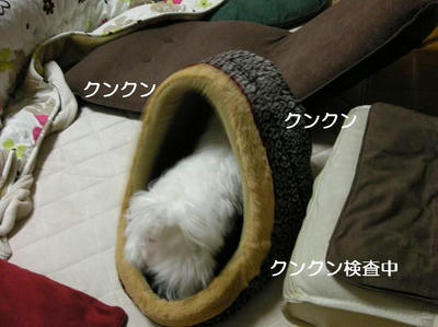 DSCN8422.JPG