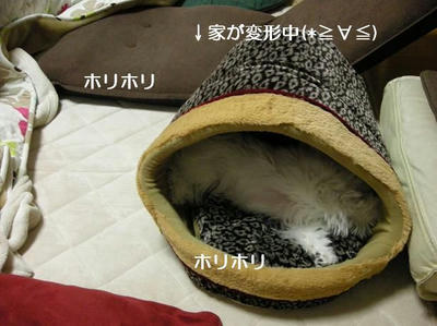 DSCN8424.JPG