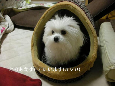 DSCN8426.JPG