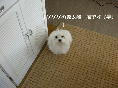 DSCN8434.JPG