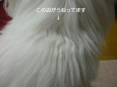 DSCN8435.JPG