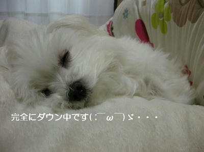 DSCN8339.JPG