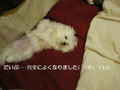 DSCN8442.JPG
