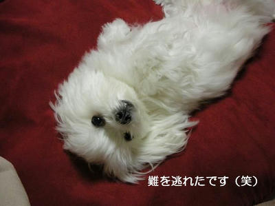 DSCN8391.JPG