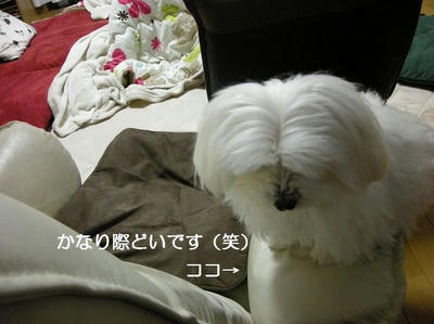 DSCN8514.JPG