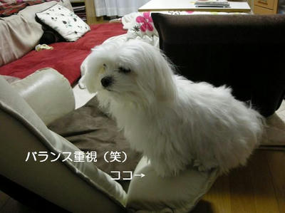 DSCN8518.JPG