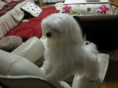 DSCN8521.JPG