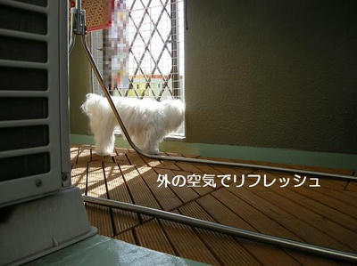 DSCN8529.JPG