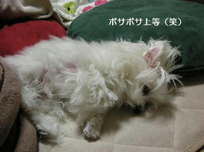 DSCN8539.JPG