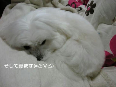 DSCN8562.JPG