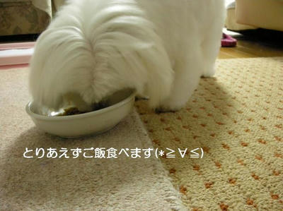 DSCN8568.JPG