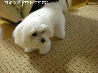 DSCN8558.JPG