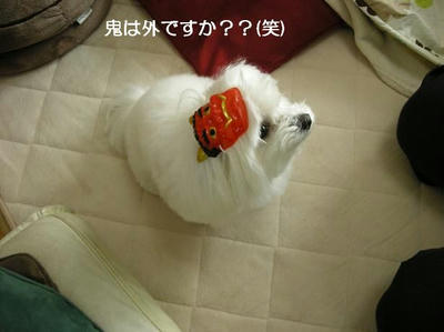 DSCN8597.JPG