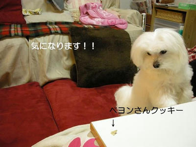 DSCN8575.JPG