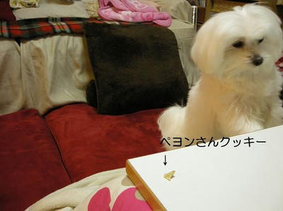 DSCN8576.JPG