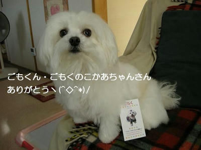 DSCN8611.JPG