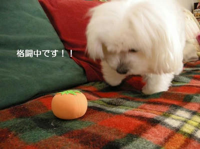 DSCN8612.JPG