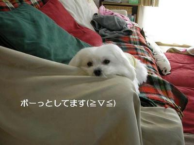 DSCN8632.JPG