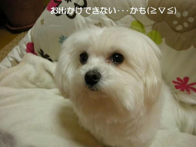 DSCN8586.JPG