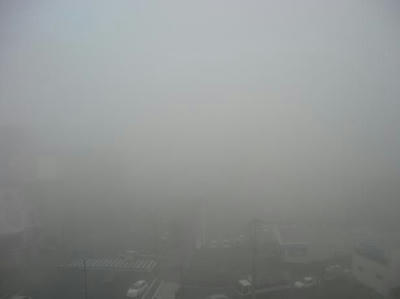 DSCN8650.JPG