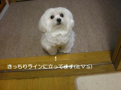 DSCN8619.JPG