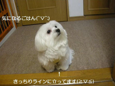 DSCN8625.JPG