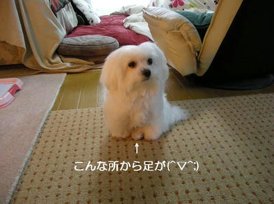 DSCN8643.JPG