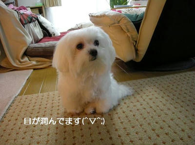 DSCN8646.JPG
