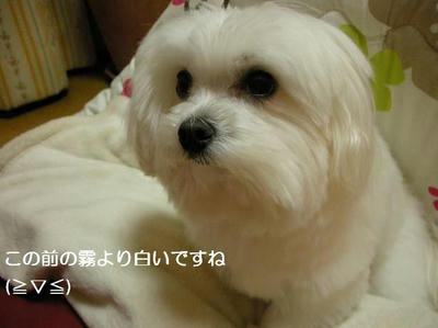 DSCN8585.JPG