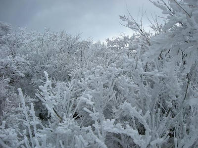 DSCN8814.JPG