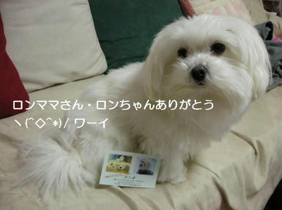 DSCN8872.JPG