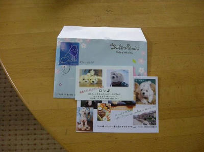 DSCN8873.JPG