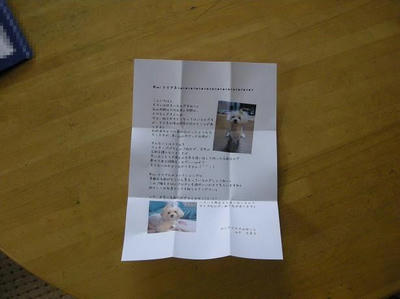 DSCN8875.JPG