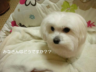DSCN8582.JPG