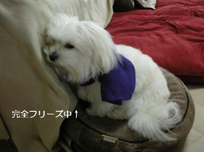 DSCN8884.JPG
